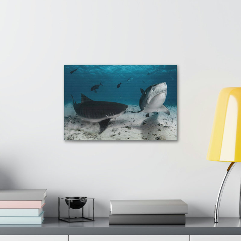 No Frame Print on Canvas, 30.48cm H x 45.72cm W