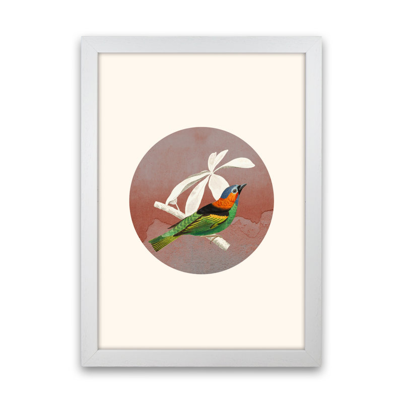 Bird Collage II - Print, 34cm H x 25cm W x 3cm D, White Framed