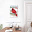 Brampt cramoisi cardinal II-108484039