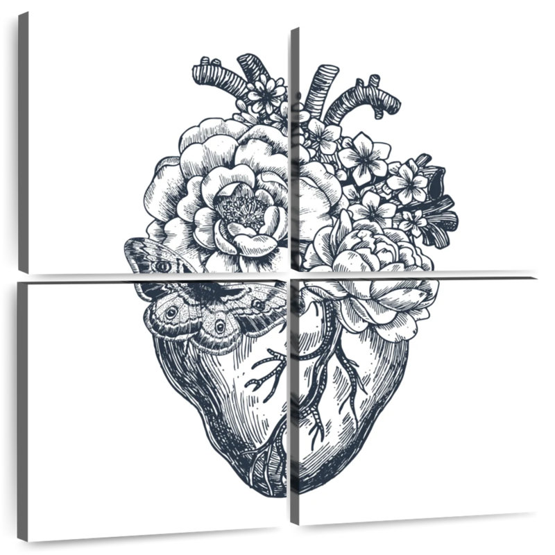 Anatomie du cœur, H 26 po x l 26 po