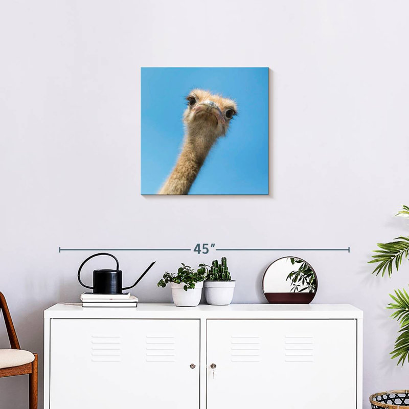 Crowle Curious Ostrich, 20" H x 20" W