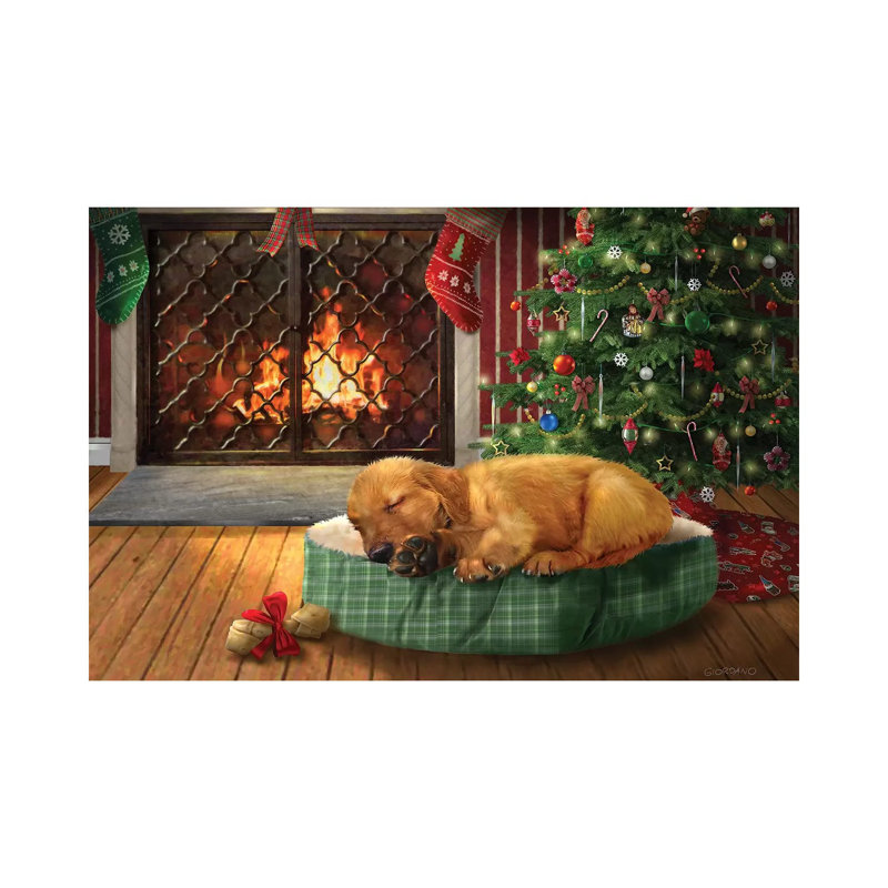 I Need A Nap - Wrapped Canvas Painting, 20.32 cm H x 30.48 cm W