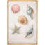 «Soft Neutral Seashell and Starfish Coastal Collection», art mural encadré sur toile-125120516-125120515