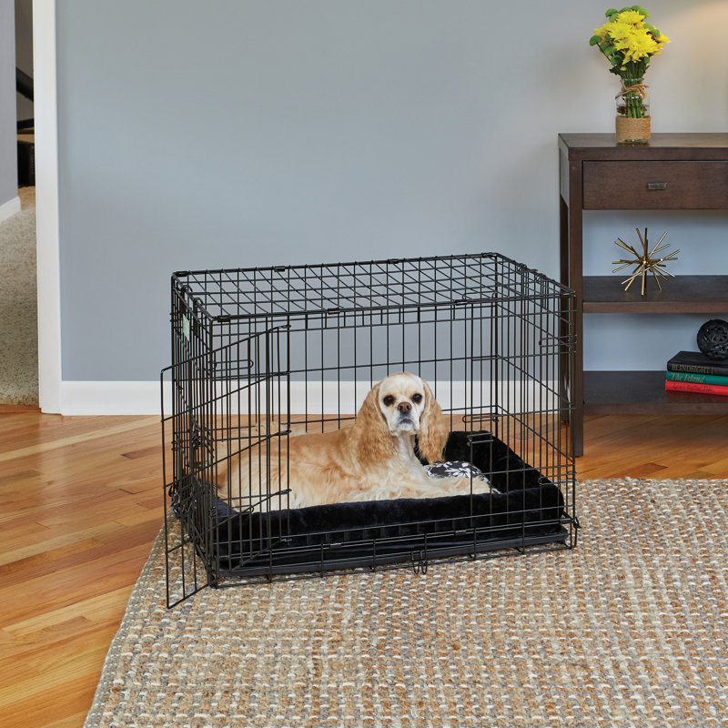 Lit pour chien avec traversin QuietTime Couture de MidWest Homes for Pets, l 36,25 po x P 22,75 po x H 4,25 po