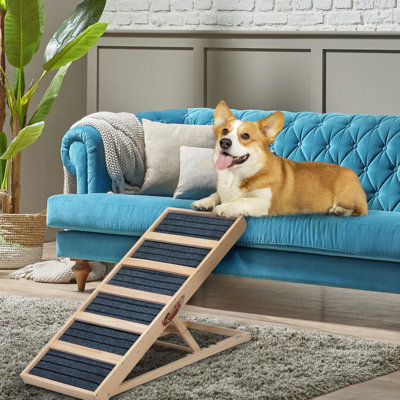 Rampe pour chien pliante de 39 po de long, réglable en hauteur, surface antidérapante, idéale pour les chiots et les animaux de compagnie plus âgés, facile à transporter avec rampe pour animaux de compagnie Pinewood, hauteur réglable, tapis, avec boucle verrouillable,