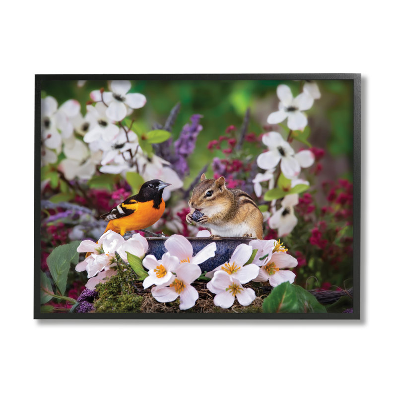 Écureuil et oiseau dans la nature par Karen Burke, H 24 po x l 30 po x P 1,5 po, Estampe numérique Farmhouse