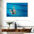 Sireci Synchronized Swimmers-108126903