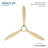 Pierce 65" Led Smart Ceiling Fan-116794811-116794814