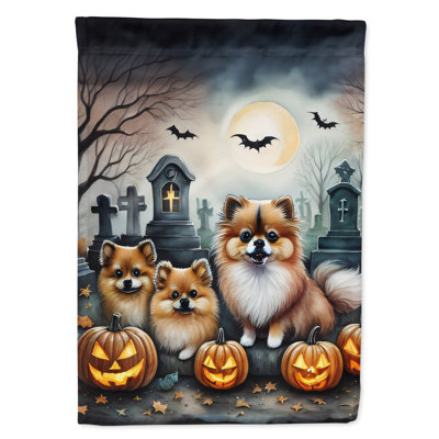 Double Sided 40'' H x 28'' W Polyester Halloween House Flag