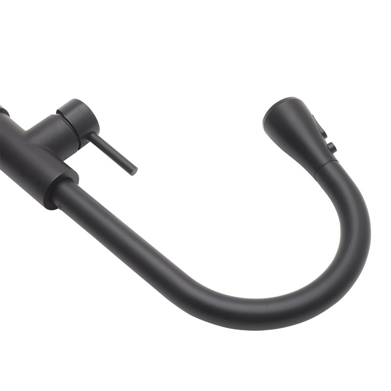 Belfry Kitchen Jace Pull Down Kitchen Faucet