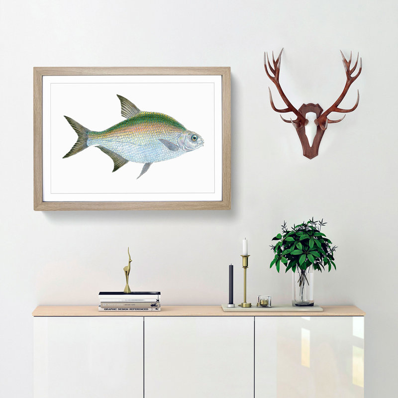 Bream Fish by Edward Donovan - Picture Frame Painting Print, 48cm H x 65cm W x 2cm D, Oak Framed