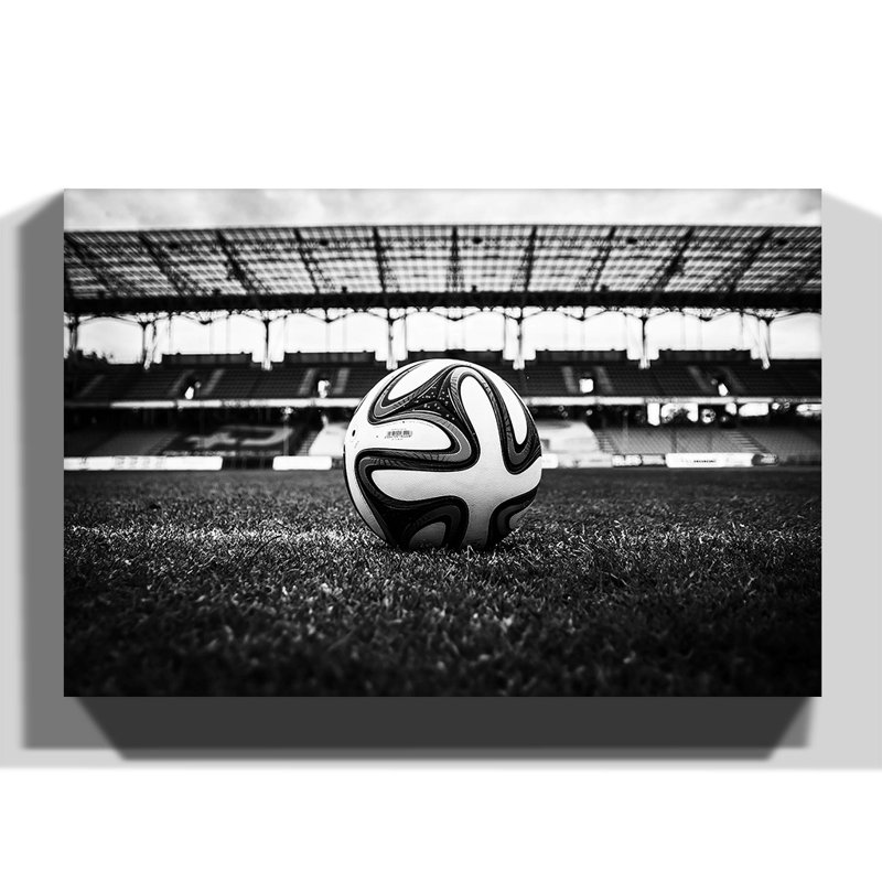 Wrapped Canvas Print, 50cm H x 76cm W