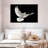 Brampt Flying White Dove-107677189