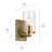 1-Light Brass Bath Vanity Wall Sconce with Clear Glass Shade-186837615