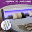 Upholstered Storage Bed-1996205374