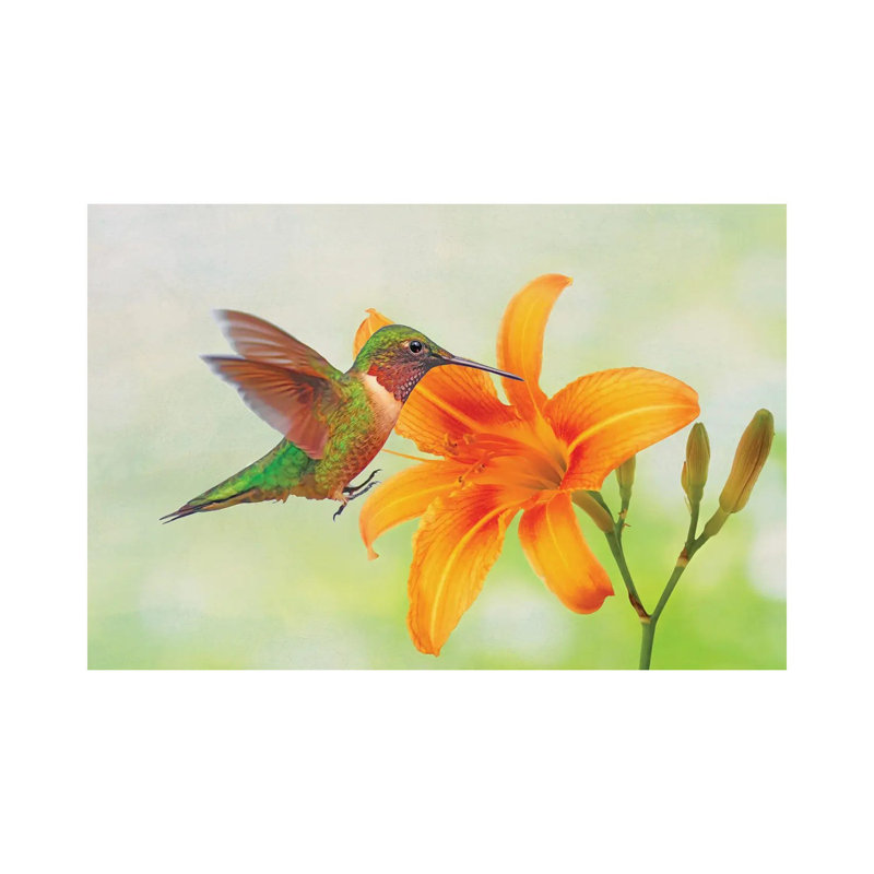 Hummingbird And Orange Day Lily by Laura D Young - Gallery-Wrapped Canvas Giclée on Canvas, Wrapped Canvas