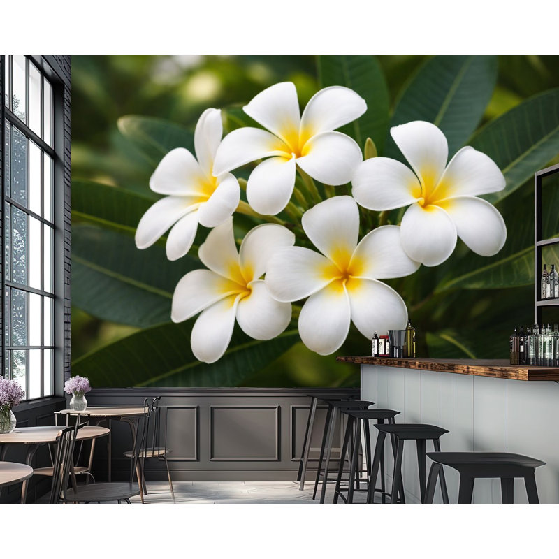 Papier peint adhésif peler et coller fleurs de plumeria blanches feuilles noires, L 96 po x l 69 po