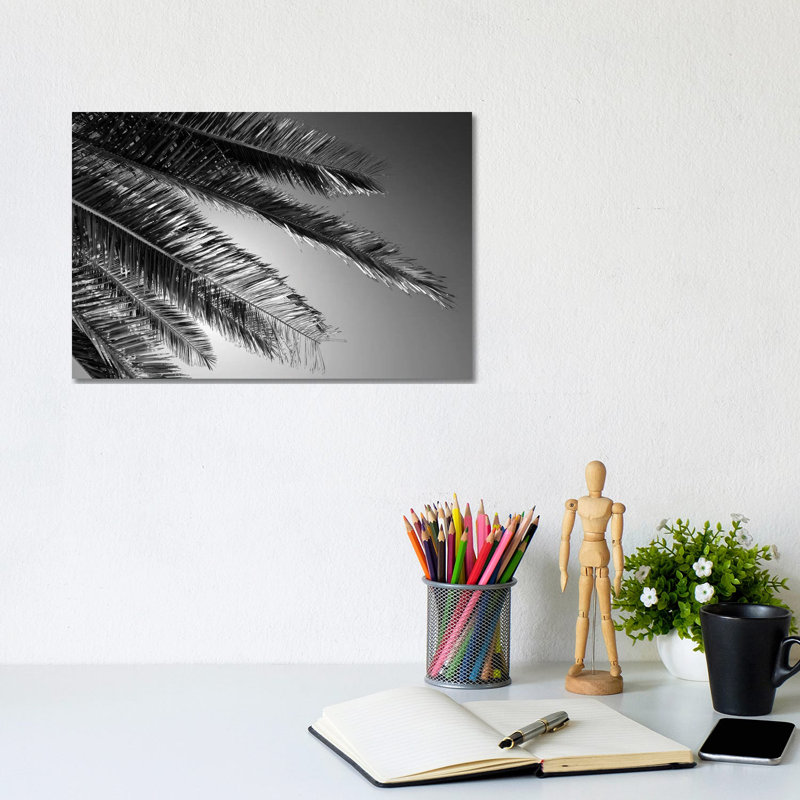 Palm by Philippe Hugonnard - Wrapped Canvas Print, 20.32 cm H x 30.48 cm W