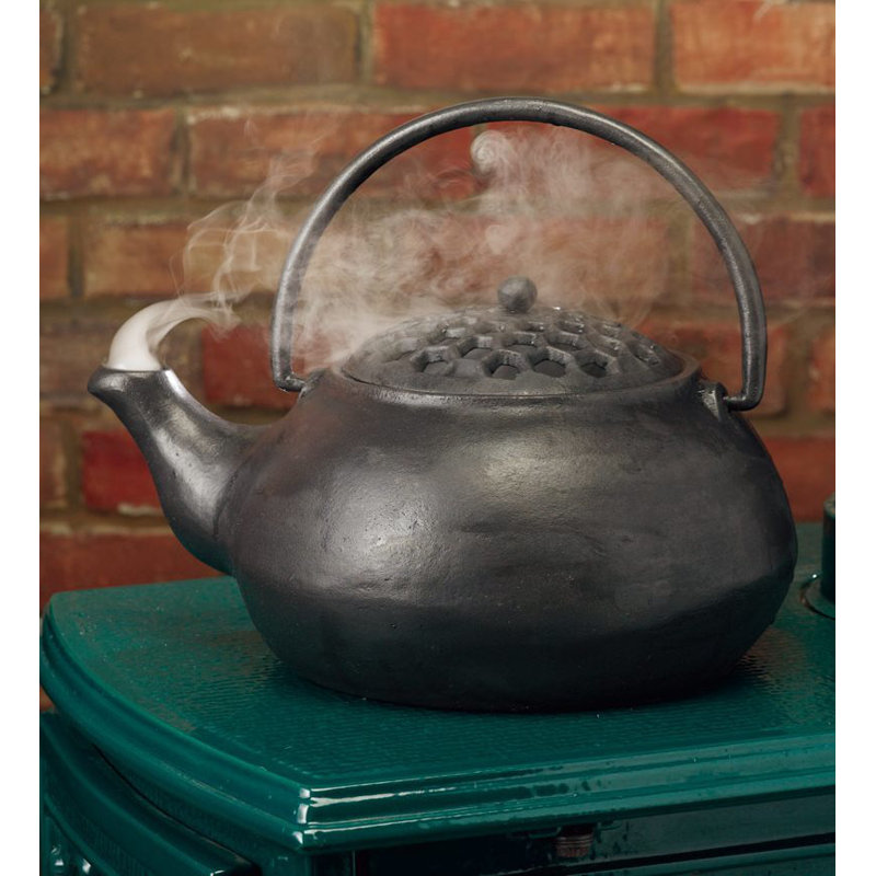 Bouilloire à vapeur