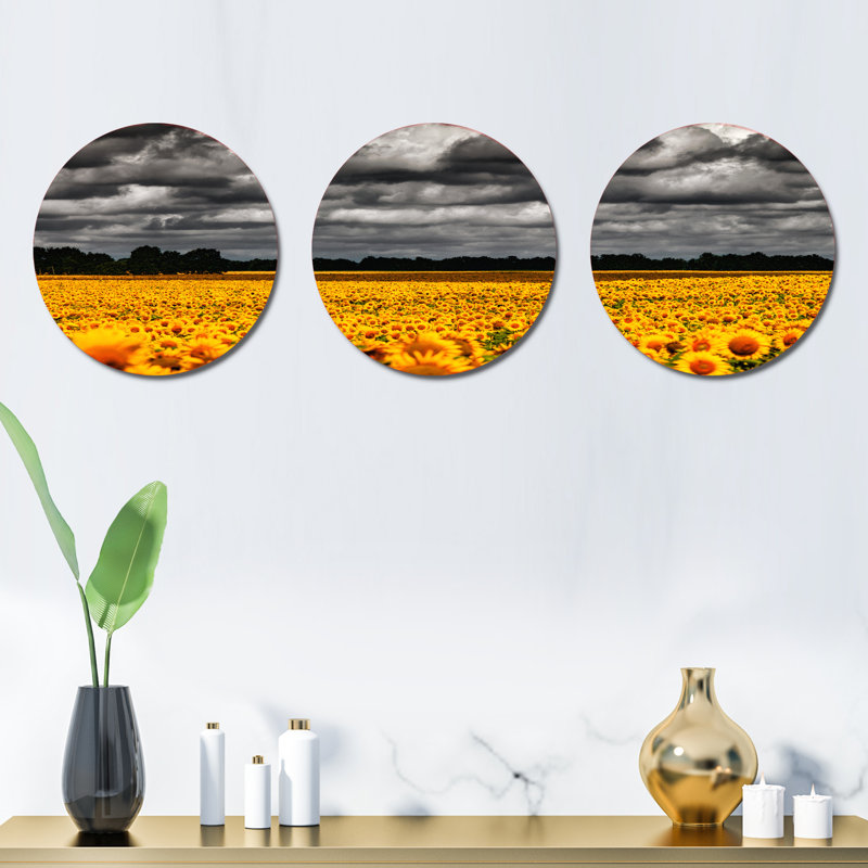 Ensemble de 3 décorations murales
