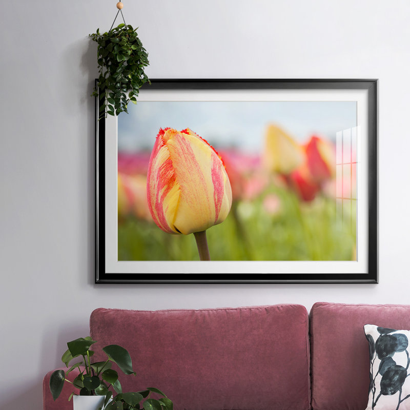 Spring Sherbet, impression sur papier encadrée, H 30 po x l 44 po x P 1,5 po, Noir