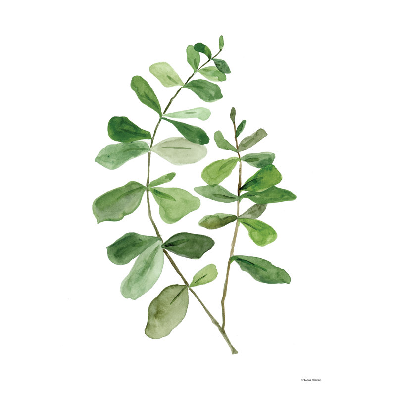 «Leafy Stem 2 On Canvas» par Rachel Nieman, reproduction, H 36 po x l 24 po