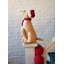 Lab Angel Tree Topper