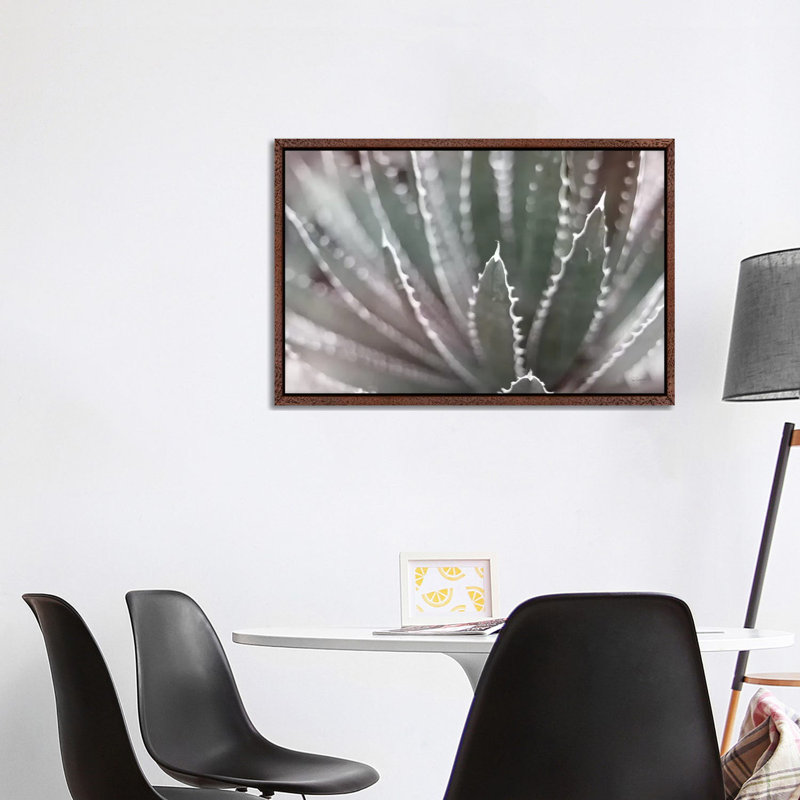 Dream Desert II BWC by Sue Schlabach - Gallery-Wrapped Canvas Giclée on Canvas, Classic Wood Framed, 101.6 cm H x 66.04 cm W
