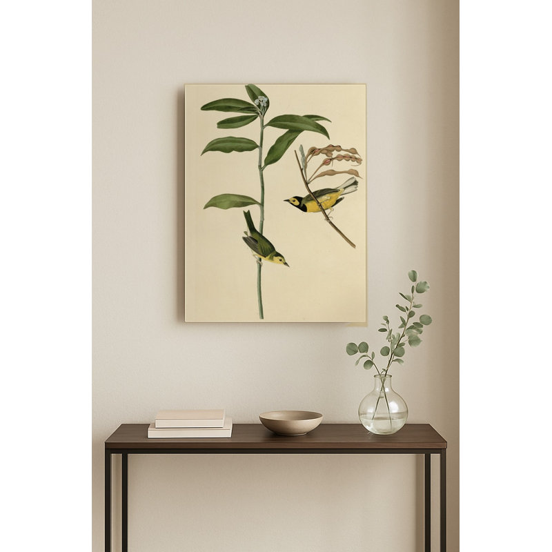 Fauvette à capuchon, Plaque CX — Portrait en métal, 24" H x 20" W