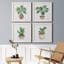 Boho Greenery I - ensemble de 4 peintures sur toile encadrées-60149346-60149338
