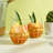 Island Stemless Wine Glasses