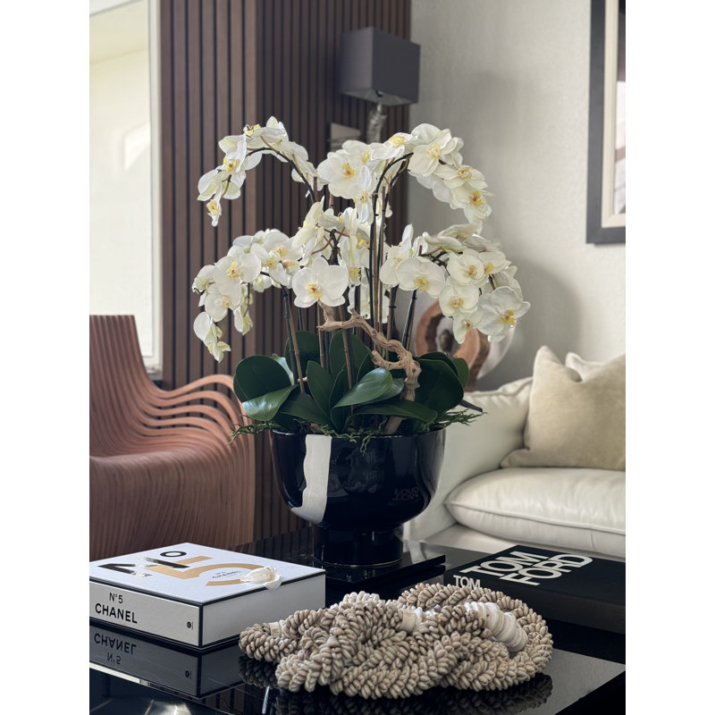 Orchidées blanches en cascade dans un bol Kempff noir et blanc