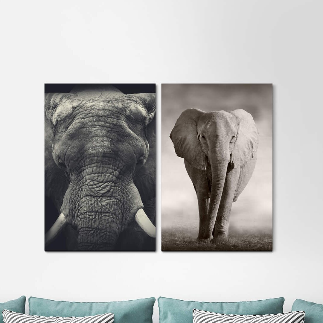 2-tlg. Leinwandbilder-Set - Grafikdruck „Africa Elephant Black White Tusks Nature Soft Powerful”