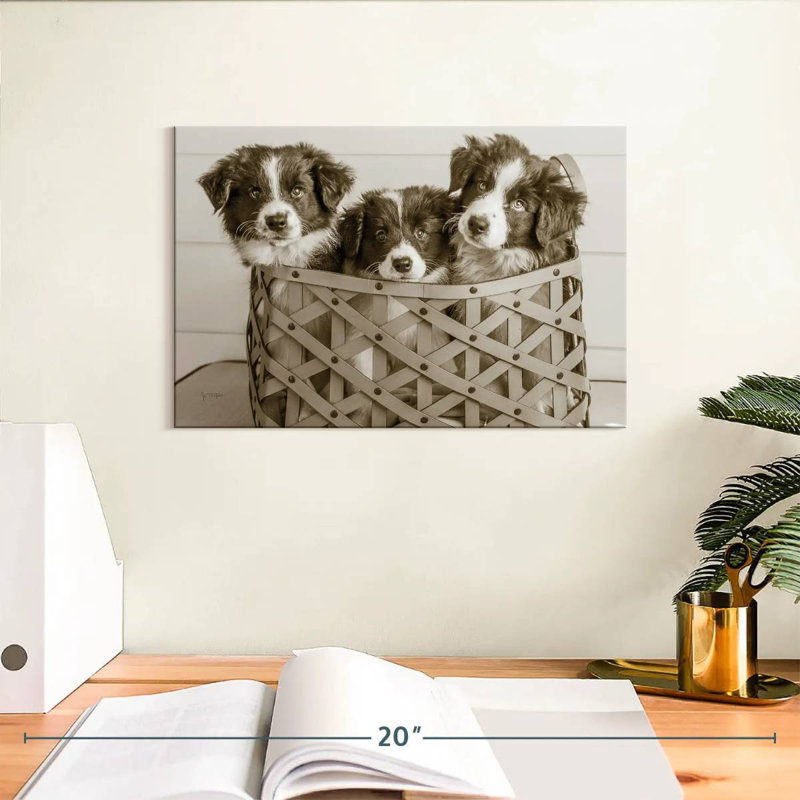 Brampt What A Cute Bundle, 8" H x 12" W