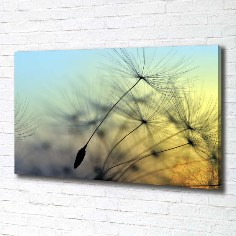 Dandelion Seeds - Wrapped Canvas Print
