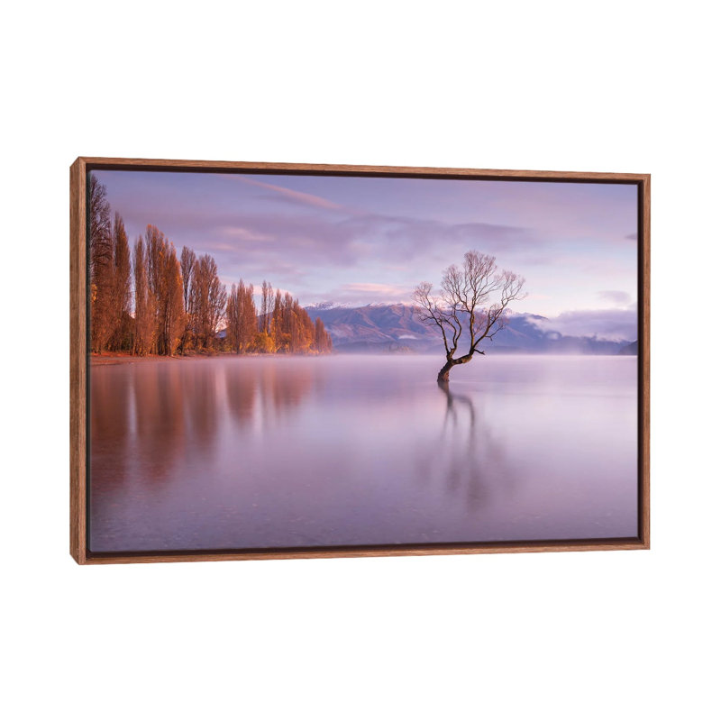 The Wanaka Tree - reproduction d'art murale - toile encadrée, Framed Canvas, 60" x 40", Brown