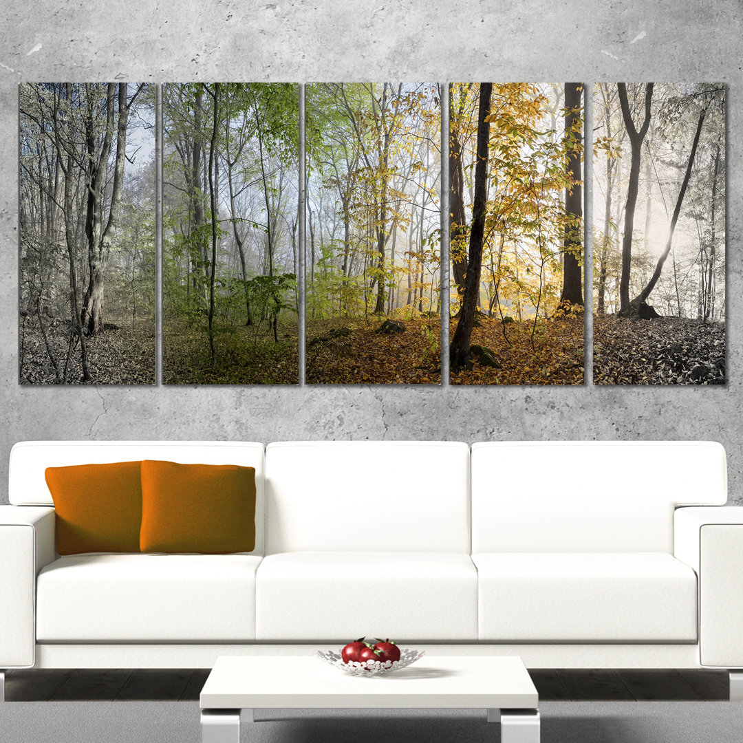 5 - Pieces Design Art