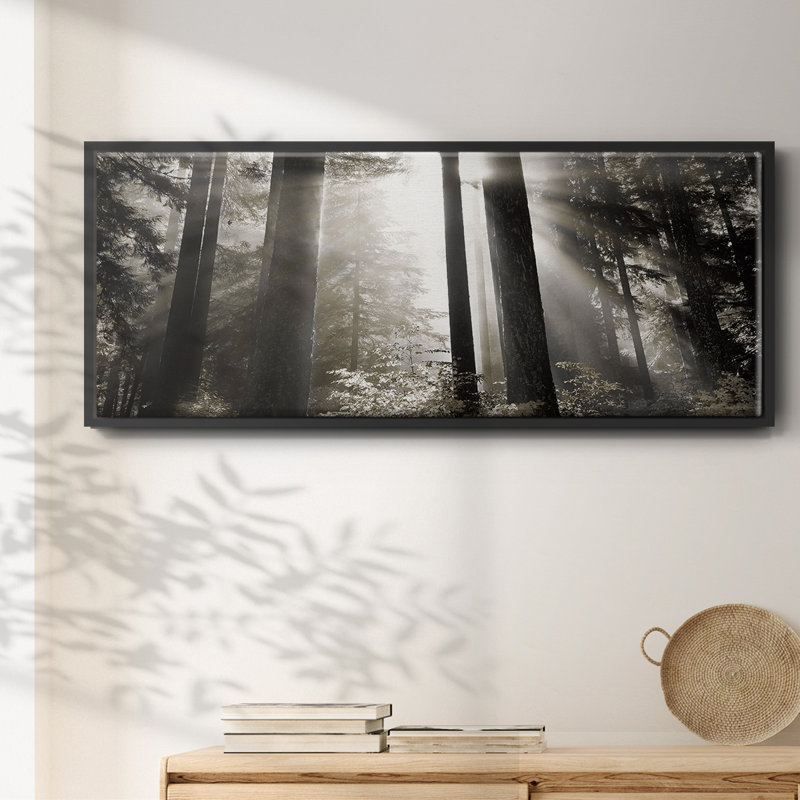 Morning Light- Framed Canvas, 20" H x 50" W