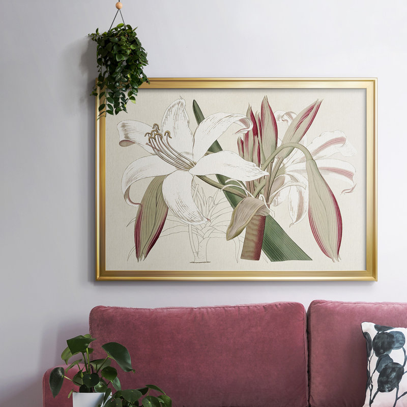 Amaryllis Varietals II, reproduction d'art sur toile, Or, H 18 po x l 26 po
