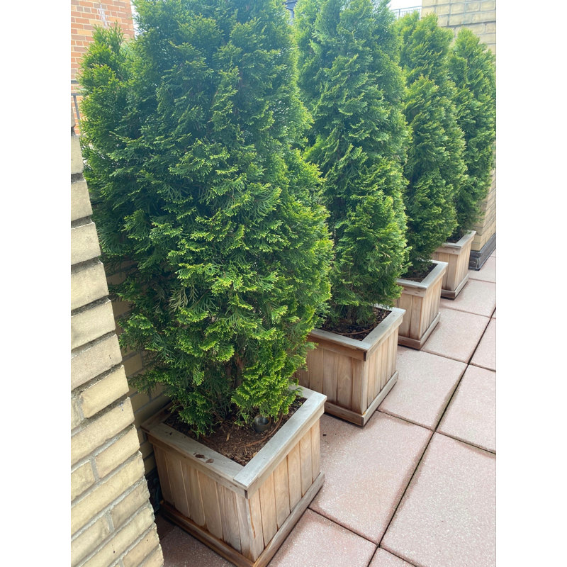 Niyla Handmade Wood Planter Box, 28" H x 29" W x 29" D