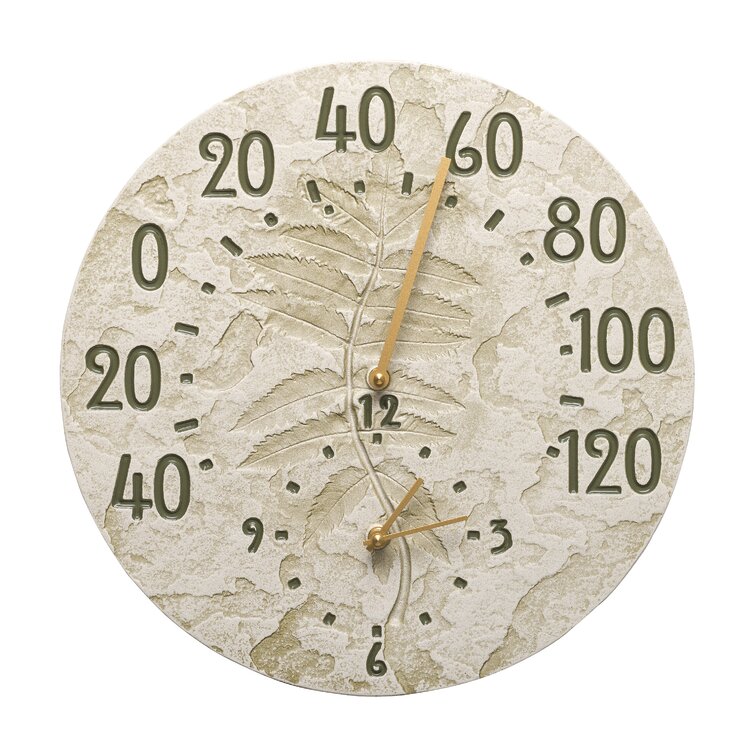 https://assets.wfcdn.com/im/74870971/resize-h755-w755%5Ecompr-r85/3164/31640916/14%27%27+Outdoor+Clock+Thermometer.jpg