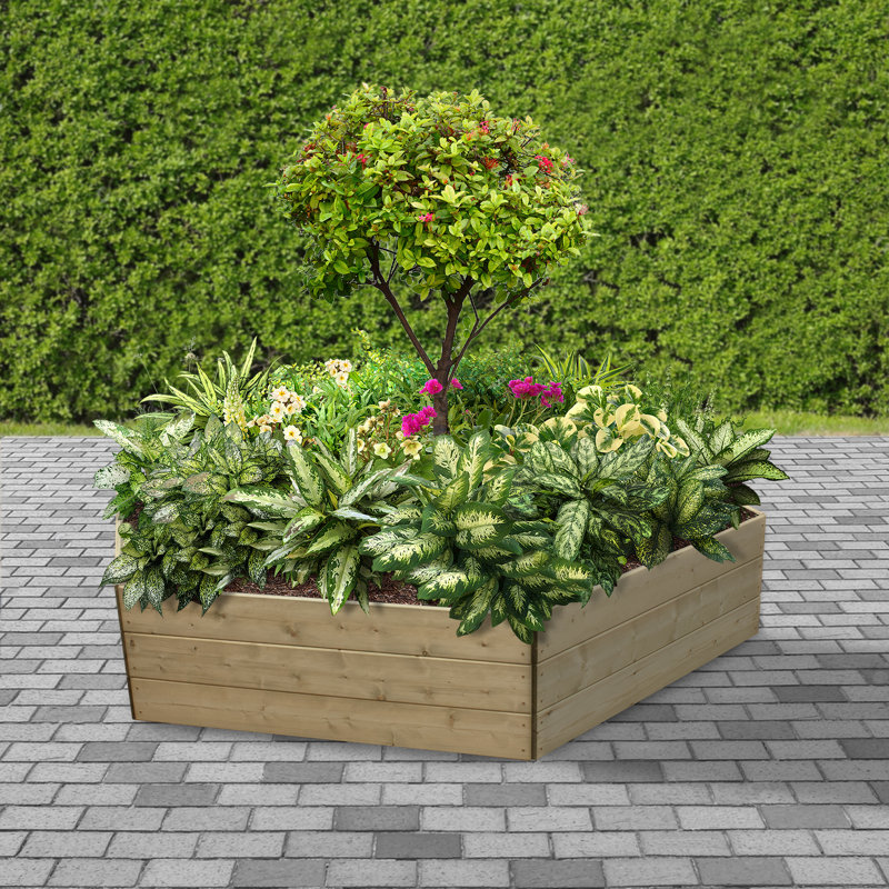 Thelonius Hexagonal Raised Bed - 120cm each side, Height 45cm