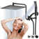 Full/Standard Adjustable Shower Head 2.5 GPM GPM