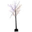  Décoration de jardin orange / mauve 350 pi 5 pi