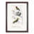 Walnut Framed