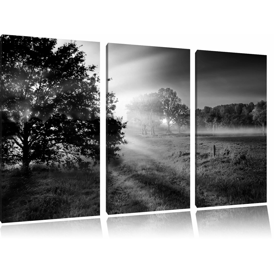 3-tlg. Leinwandbilder-Set „schöne Lichtung im Wald", Fotodruck