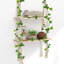 Jacquelyn Bracket Shelf