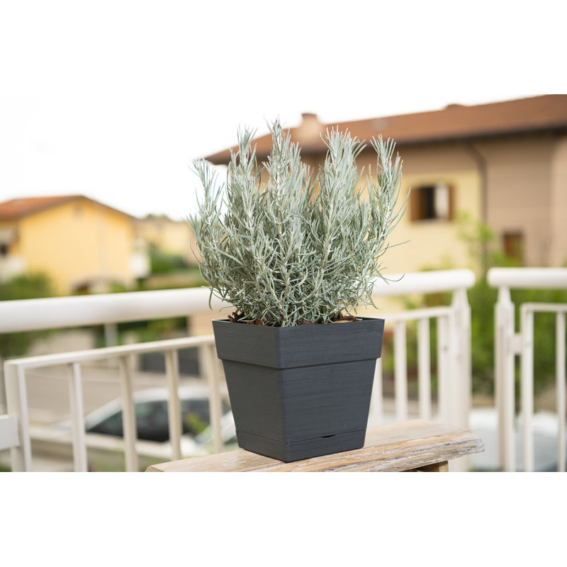 Save R Quadro, Anthracite, 17cm H x 16.2cm W x 17cm D
