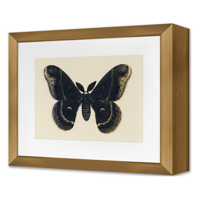 Flutter 1 Print by Todaro, Katie