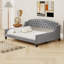 Lit de jour Modern Luxury-1028249074